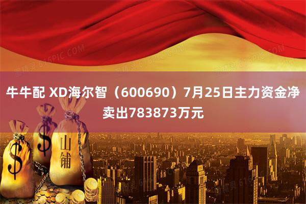 牛牛配 XD海尔智（600690）7月25日主力资金净卖出783873万元